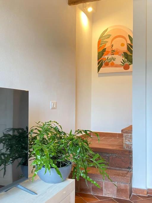 Relax&Business Wi-Fi, Tv Hd, Parcheggio Gratuito Villa Capannori Eksteriør billede